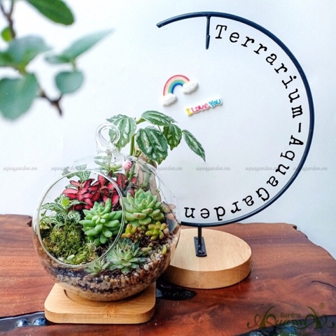 Terrarium 98 - Điều Tươi Đẹp Nhất