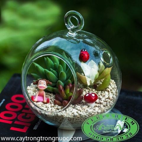 Terrarium 103 - Komorebi