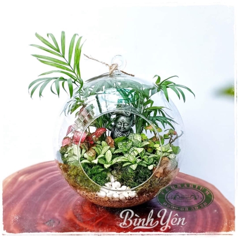 Terrarium 105 -  Yên Bình Trong Tim