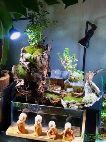 Terrarium 80 - Vọng Nguyệt Thôn 2