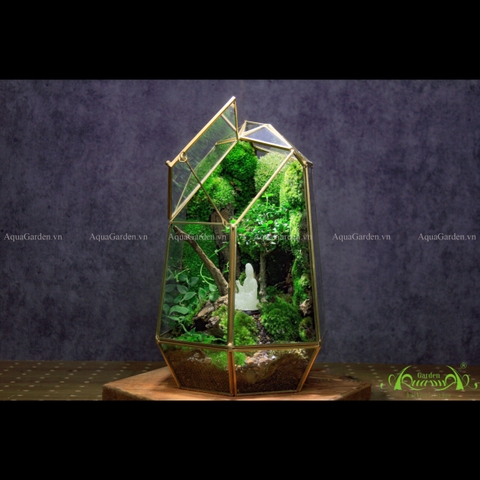 Terrarium 249 - Faith
