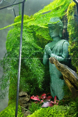 Terrarium 259 - Peaceful Sky