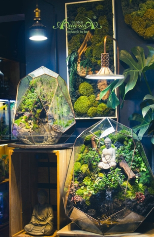 Terrarium 257 - Nhân