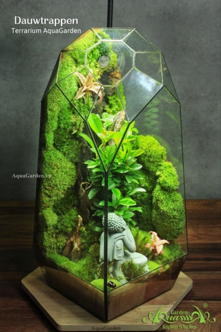 Terrarium 342 - Dauwtrappen