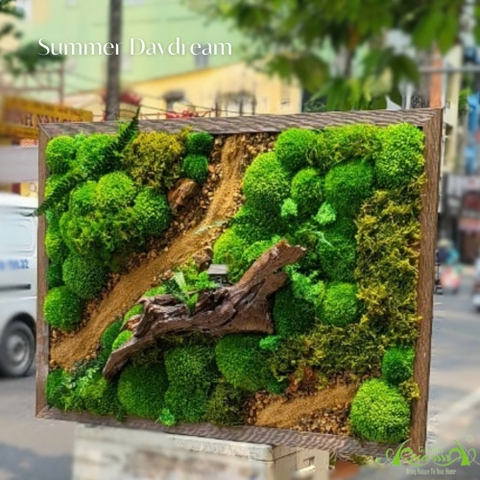 Tranh rêu bảo tồn - Summer Daydream
