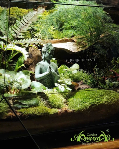 Terrarium 354 - Forest of Enlightenment