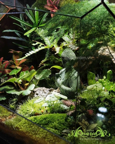 Terrarium 354 - Forest of Enlightenment