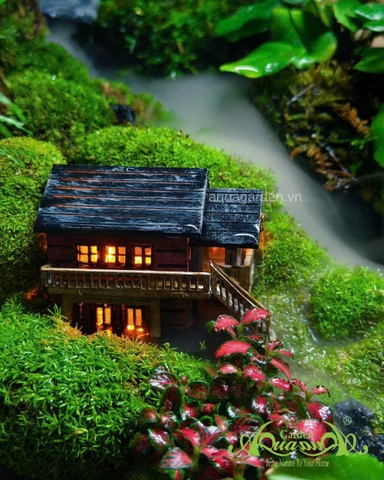 Terrarium 360 - Khu vườn Dưỡng thần