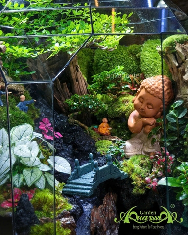 Terrarium 356 - Bridge to Bliss