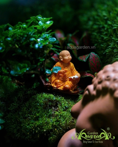 Terrarium 356 - Bridge to Bliss