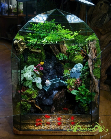 Terrarium 356 - Bridge to Bliss
