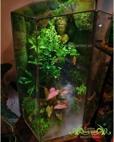 Terrarium 355 - Zen Garden of Peace
