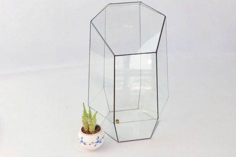 Thủy Tinh 25 - TT Đa Giác
