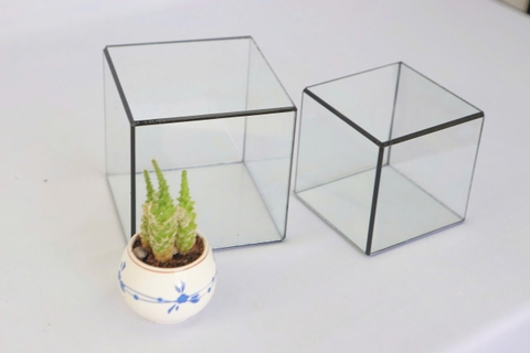Thủy Tinh 28 - TT Đa Giác