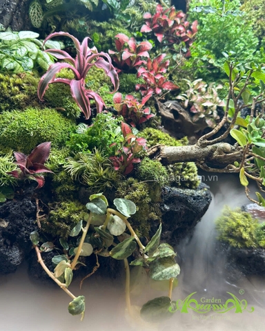 Hồ bán cạn - Thác Tịch Lưu Vân – thác nước rêu phong mây phủ độc bản