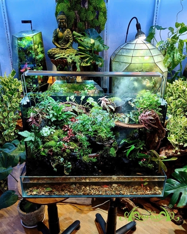 Hồ bán cạn - Thác Tịch Lưu Vân – thác nước rêu phong mây phủ độc bản