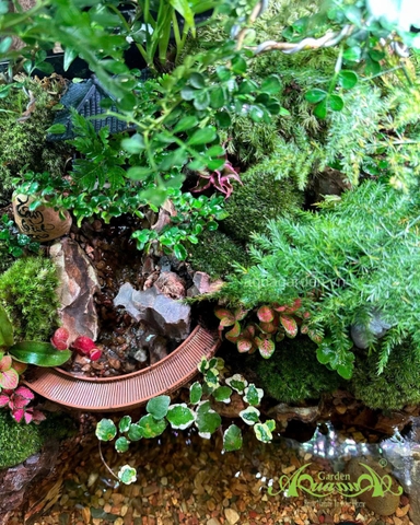 Hồ bán cạn - Tâm Bình An – Mảnh vườn thiền trong không gian sống