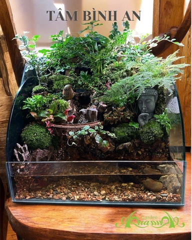 Hồ bán cạn - Tâm Bình An – Mảnh vườn thiền trong không gian sống