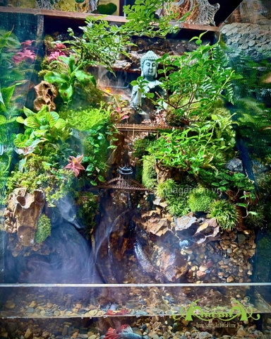 Hồ bán cạn - Tụ Linh Sơn Cảnh – Tiểu cảnh Phật giữa núi rừng an nhiên