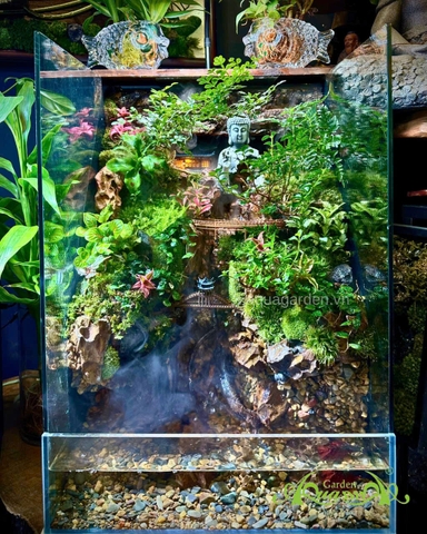 Hồ bán cạn - Tụ Linh Sơn Cảnh – Tiểu cảnh Phật giữa núi rừng an nhiên