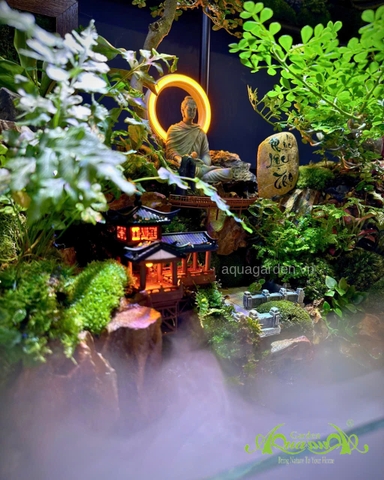 Hồ bán cạn - Zenlight Valley – phong cách thiền với ánh sáng Zen huyền ảo