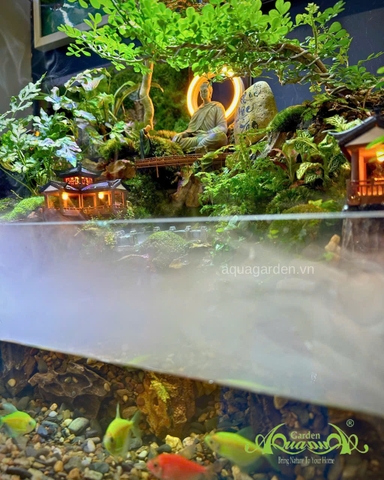 Hồ bán cạn - Zenlight Valley – phong cách thiền với ánh sáng Zen huyền ảo