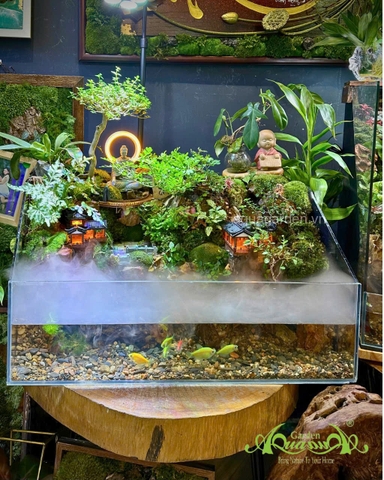 Hồ bán cạn - Zenlight Valley – phong cách thiền với ánh sáng Zen huyền ảo