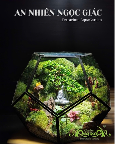 Terrarium 394 - An nhiên Ngọc giác