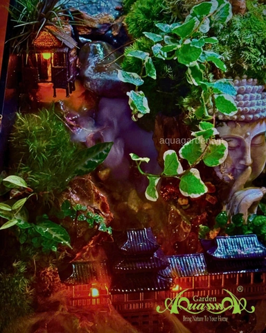 Hồ bán cạn - Thiền Vân Cổ Tự – Tiểu cảnh hồ bán cạn tĩnh tại giữa mây khói