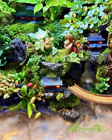 Hồ bán cạn - Hồ thiêng vân ảnh - Hồ bán cạn nghệ thuật