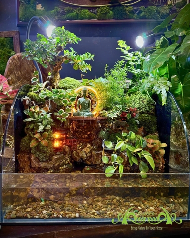 Hồ bán cạn - Minh thác tịnh Uyên – Thác nước & tượng Phật thiền tịnh