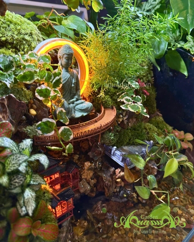 Hồ bán cạn - Minh thác tịnh Uyên – Thác nước & tượng Phật thiền tịnh