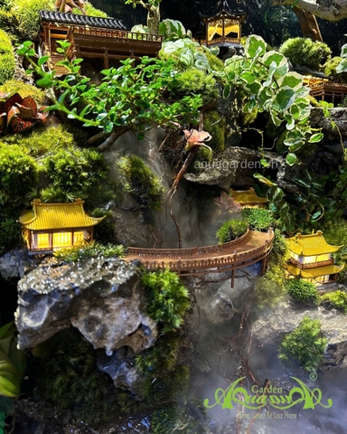 Hồ bán cạn - Trăng vàng cổ trấn