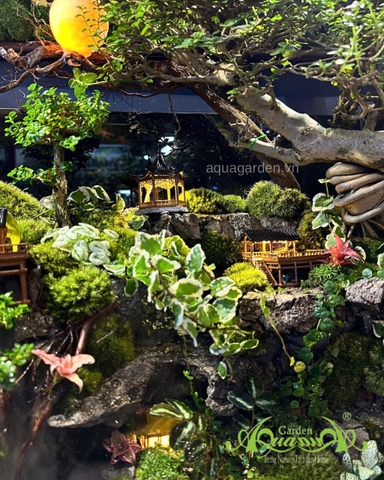 Hồ bán cạn - Trăng vàng cổ trấn