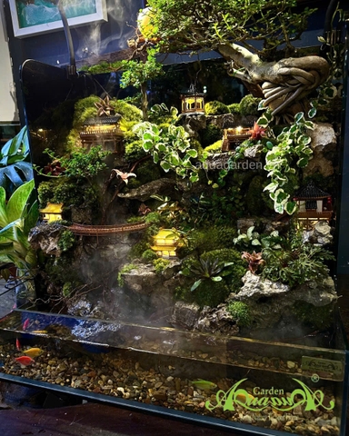 Hồ bán cạn - Trăng vàng cổ trấn