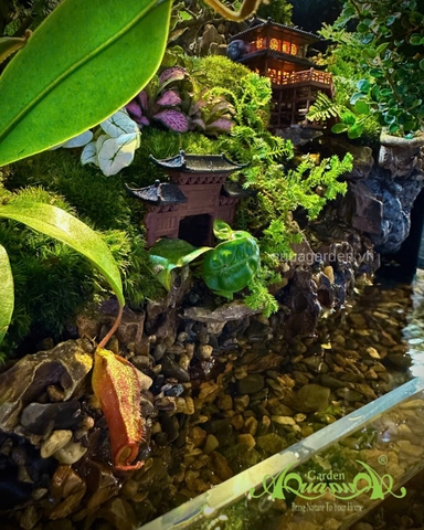 Hồ bán cạn – Tịnh cư sơn thôn | Tiểu cảnh thiên nhiên thu nhỏ mang nét an yên