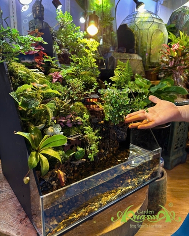 Hồ bán cạn – Tịnh cư sơn thôn | Tiểu cảnh thiên nhiên thu nhỏ mang nét an yên