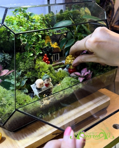 Terrarium 397 - “An Nhiên Nhà Mình” – món quà tặng tân gia ý nghĩa | AquaGarden
