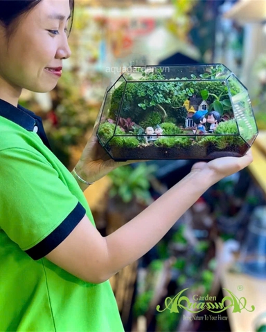 Terrarium 397 - “An Nhiên Nhà Mình” – món quà tặng tân gia ý nghĩa | AquaGarden