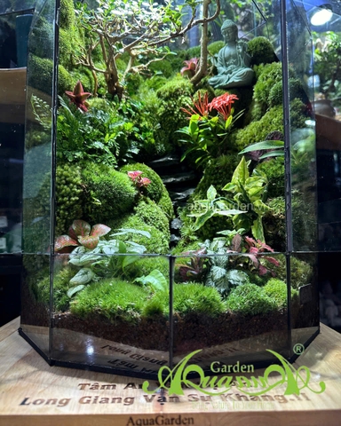 Terrarium 398 - “Tịnh Lộ Viên Minh” – Không gian thiền tĩnh | AquaGarden