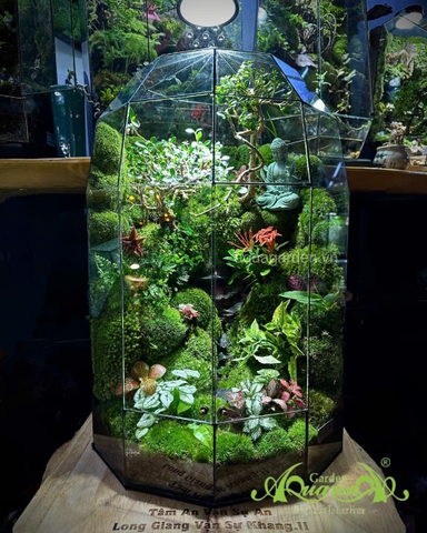 Terrarium 398 - “Tịnh Lộ Viên Minh” – Không gian thiền tĩnh | AquaGarden