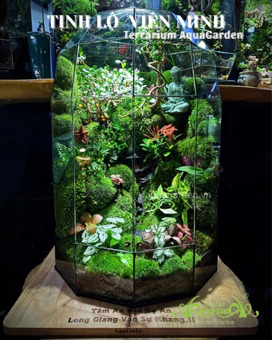 Terrarium 398 - “Tịnh Lộ Viên Minh” – Không gian thiền tĩnh | AquaGarden