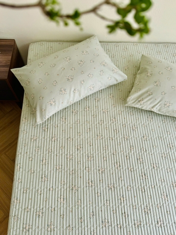 Set ga gối cotton silk Hàn - Giáng hương - SGGSH89