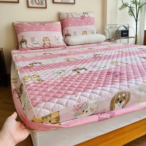 Set ga gối chần bông (Mèo cún hồng) - SGGCB335