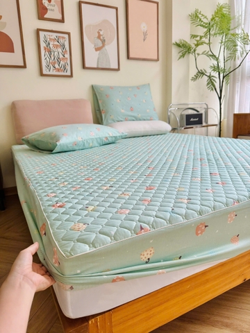 Set ga gối chần bông (Bí ngô xanh mint) - SGGCB341