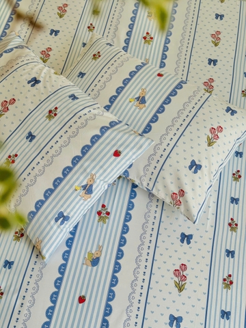 Set ga gối cotton - Thỏ petter xanh - SGGCT360