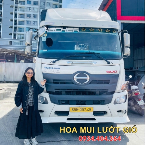 Cập Nhật Bảng Giá Mới Nhất & Kinh Nghiệm Chọn Mui Lướt Gió Xe Tải Phù Hợp Cho Từng Dòng Xe
