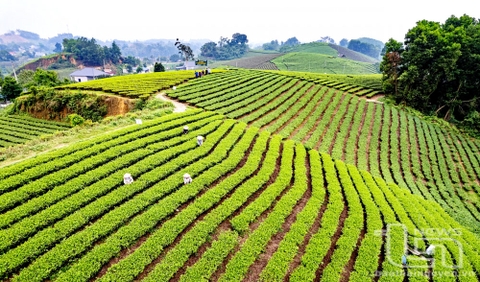 Tạo thêm sức hút cho du lịch Đại Từ