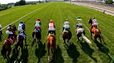 Thái Nguyên quy hoạch trường đua ngựa ở huyện Đại Từ