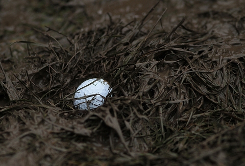 MOVING DAY - MUDBALL - MULLIGAN